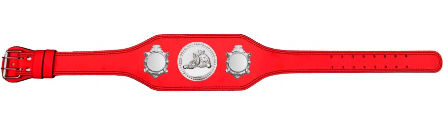JIU JITSU CHAMPIONSHIP BELTS-BUD003/S/JJS-4 COLOURS